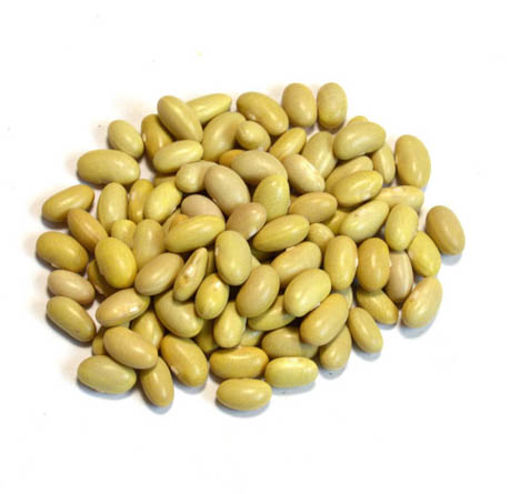 Frijol Verde Canario